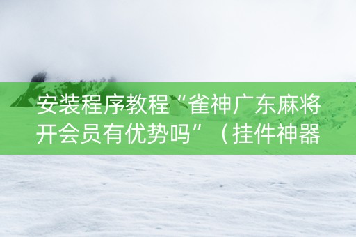 安装程序教程“雀神广东麻将开会员有优势吗”（挂件神器)