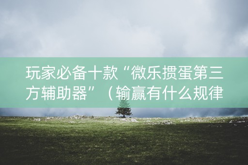 玩家必备十款“微乐掼蛋第三方辅助器”（输赢有什么规律)
