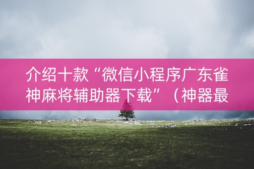介绍十款“微信小程序广东雀神麻将辅助器下载”（神器最新免费)