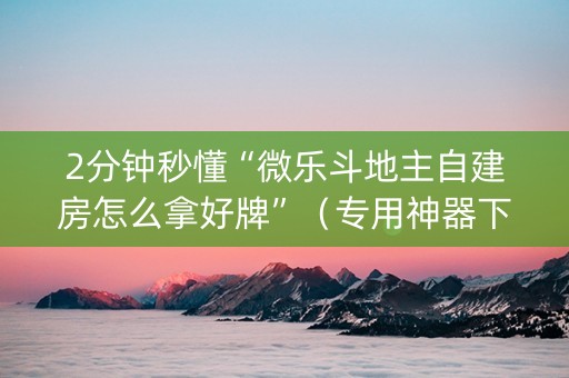 2分钟秒懂“微乐斗地主自建房怎么拿好牌”（专用神器下载)