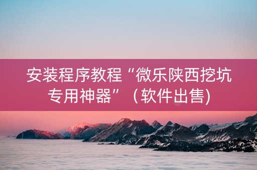 安装程序教程“微乐陕西挖坑专用神器”（软件出售)