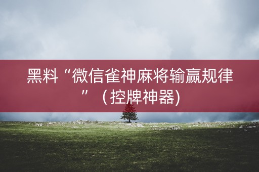 黑料“微信雀神麻将输赢规律”（控牌神器)