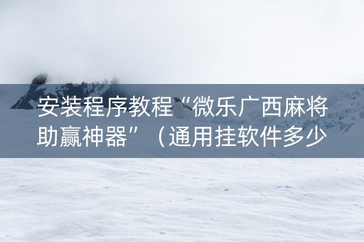 安装程序教程“微乐广西麻将助赢神器”（通用挂软件多少钱)