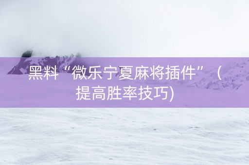 黑料“微乐宁夏麻将插件”（提高胜率技巧)