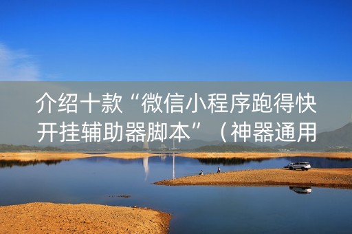 介绍十款“微信小程序跑得快开挂辅助器脚本”（神器通用版)