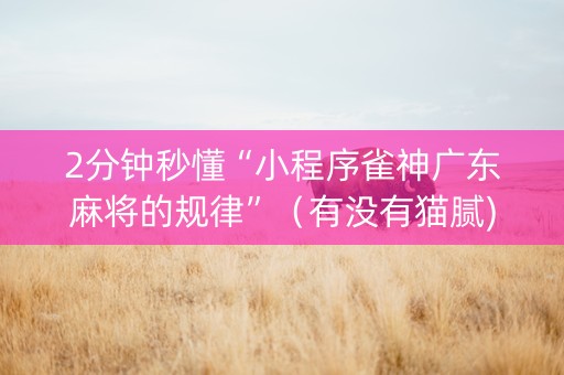 2分钟秒懂“小程序雀神广东麻将的规律”（有没有猫腻)