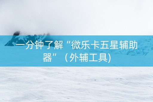 一分钟了解“微乐卡五星辅助器”（外辅工具)