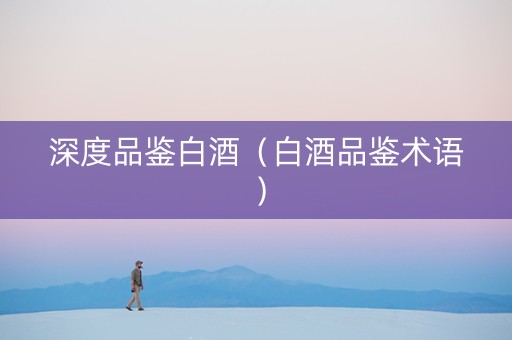 深度品鉴白酒（白酒品鉴术语）