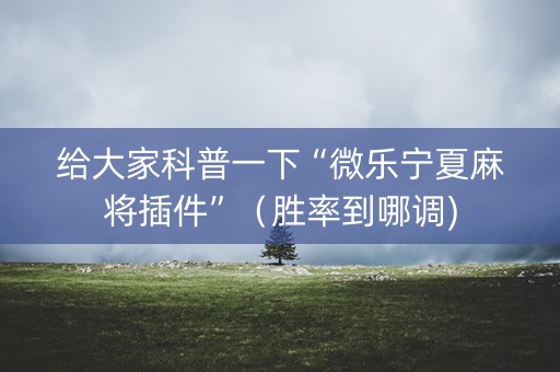 给大家科普一下“微乐宁夏麻将插件”（胜率到哪调)