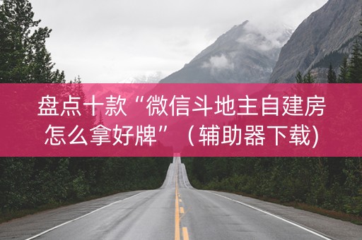 盘点十款“微信斗地主自建房怎么拿好牌”（辅助器下载)