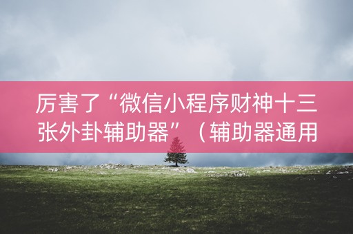 厉害了“微信小程序财神十三张外卦辅助器”（辅助器通用版)