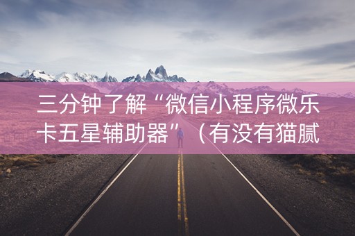 三分钟了解“微信小程序微乐卡五星辅助器”（有没有猫腻)