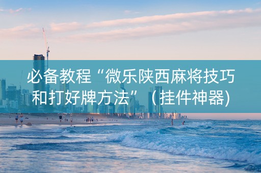 必备教程“微乐陕西麻将技巧和打好牌方法”（挂件神器)