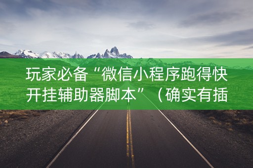 玩家必备“微信小程序跑得快开挂辅助器脚本”（确实有插件吗)