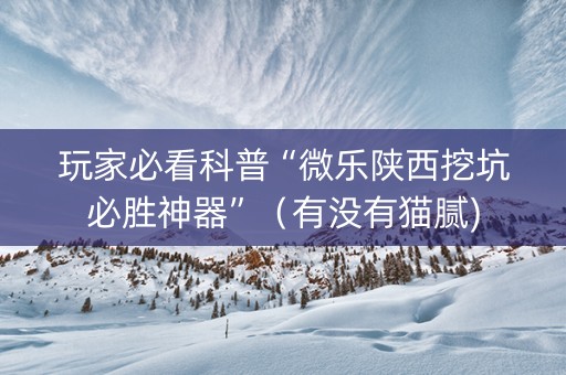 玩家必看科普“微乐陕西挖坑必胜神器”（有没有猫腻)