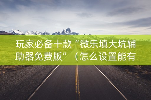玩家必备十款“微乐填大坑辅助器免费版”（怎么设置能有好牌)