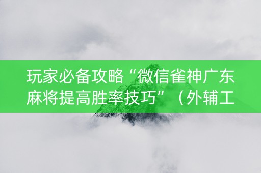 玩家必备攻略“微信雀神广东麻将提高胜率技巧”（外辅工具)