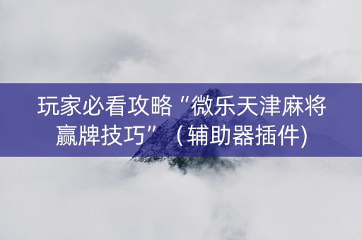 玩家必看攻略“微乐天津麻将赢牌技巧”（辅助器插件)