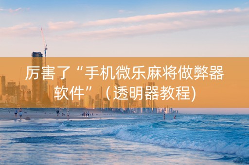 厉害了“手机微乐麻将做弊器软件”（透明器教程)