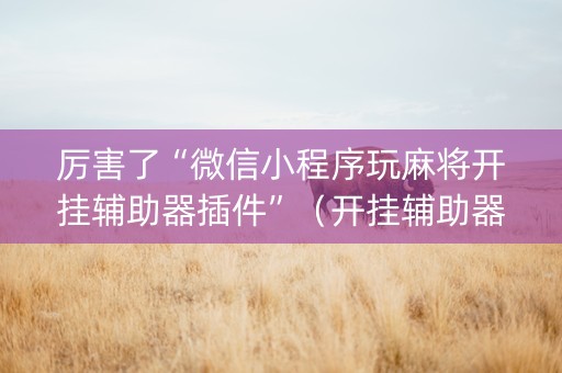 厉害了“微信小程序玩麻将开挂辅助器插件”（开挂辅助器脚本)