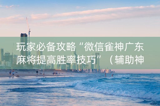 玩家必备攻略“微信雀神广东麻将提高胜率技巧”（辅助神器免费)