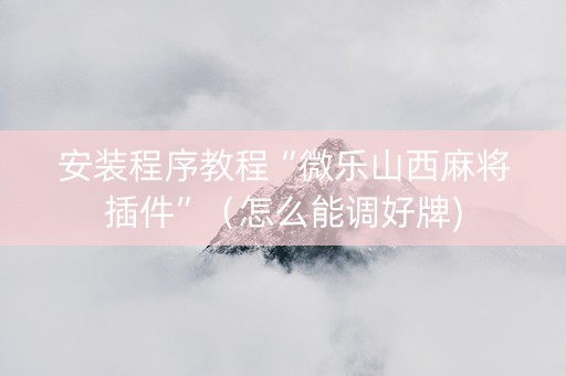 安装程序教程“微乐山西麻将插件”（怎么能调好牌)