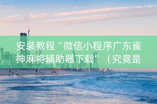 安装教程“微信小程序广东雀神麻将辅助器下载”（究竟是不是有挂)