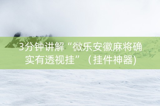 3分钟讲解“微乐安徽麻将确实有透视挂”（挂件神器)