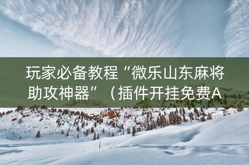 玩家必备教程“微乐山东麻将助攻神器”（插件开挂免费AI)