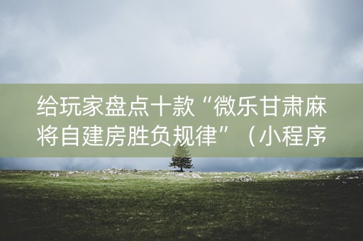 给玩家盘点十款“微乐甘肃麻将自建房胜负规律”（小程序辅助软件)