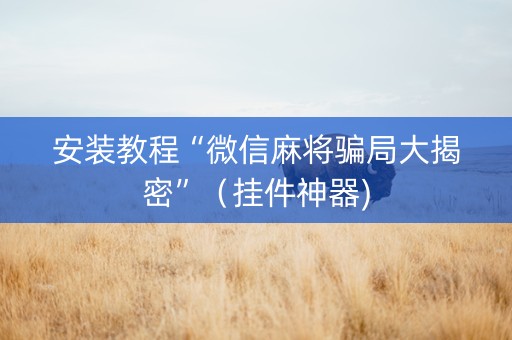 安装教程“微信麻将骗局大揭密”（挂件神器)
