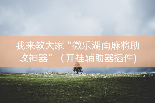 我来教大家“微乐湖南麻将助攻神器”（开挂辅助器插件)