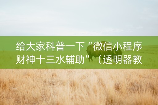 给大家科普一下“微信小程序财神十三水辅助”（透明器教程)