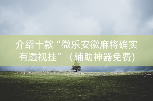 介绍十款“微乐安徽麻将确实有透视挂”（辅助神器免费)