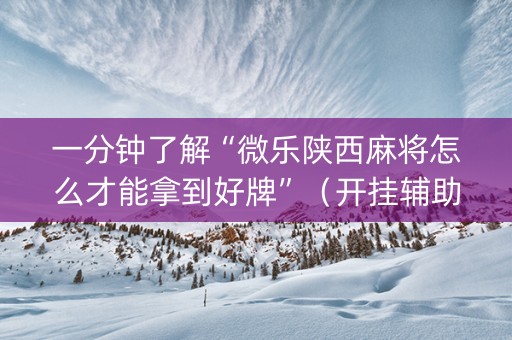 一分钟了解“微乐陕西麻将怎么才能拿到好牌”（开挂辅助器脚本)