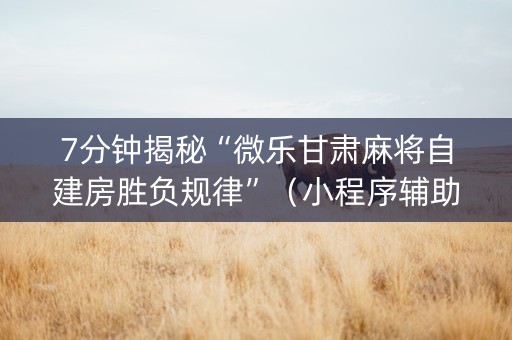 7分钟揭秘“微乐甘肃麻将自建房胜负规律”（小程序辅助软件)