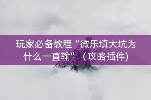 玩家必备教程“微乐填大坑为什么一直输”（攻略插件)