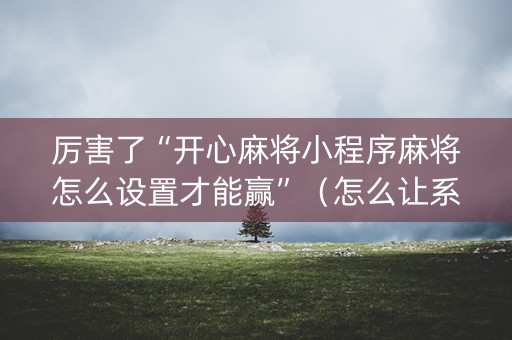 厉害了“开心麻将小程序麻将怎么设置才能赢”（怎么让系统给你发好牌)