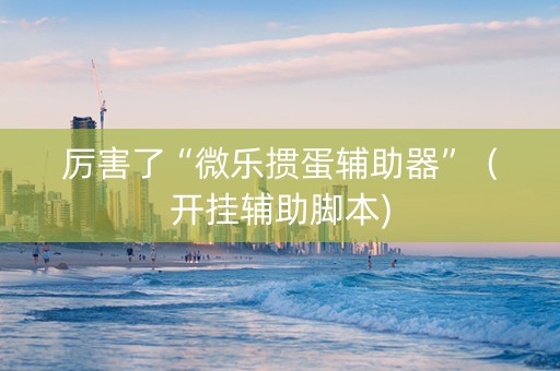 厉害了“微乐掼蛋辅助器”（开挂辅助脚本)