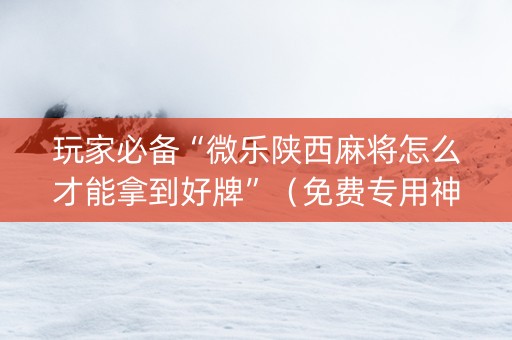 玩家必备“微乐陕西麻将怎么才能拿到好牌”（免费专用神器)