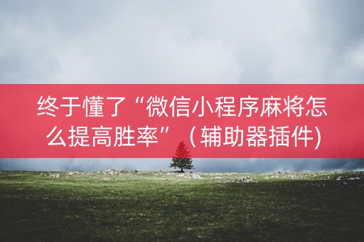 终于懂了“微信小程序麻将怎么提高胜率”（辅助器插件)