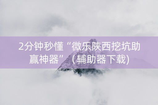 2分钟秒懂“微乐陕西挖坑助赢神器”（辅助器下载)