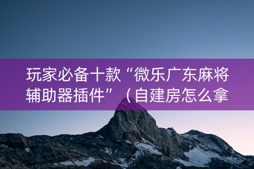 玩家必备十款“微乐广东麻将辅助器插件”（自建房怎么拿好牌)
