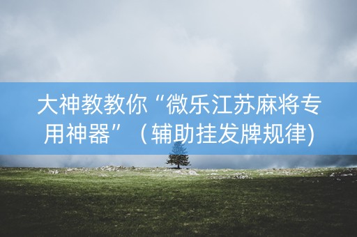 大神教教你“微乐江苏麻将专用神器”（辅助挂发牌规律)