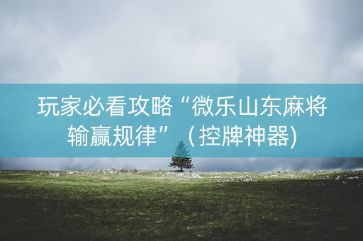 玩家必看攻略“微乐山东麻将输赢规律”（控牌神器)