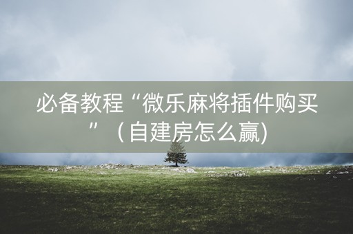 必备教程“微乐麻将插件购买”（自建房怎么赢)