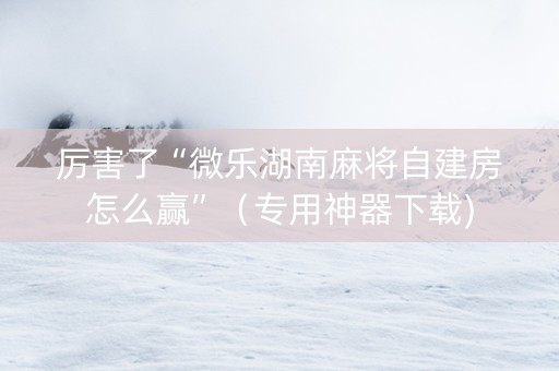 厉害了“微乐湖南麻将自建房怎么赢”（专用神器下载)