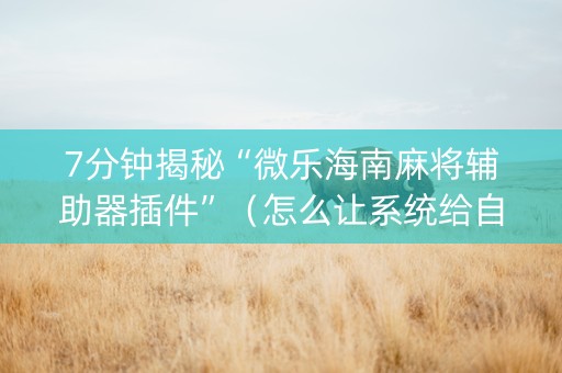 7分钟揭秘“微乐海南麻将辅助器插件”（怎么让系统给自己好牌)