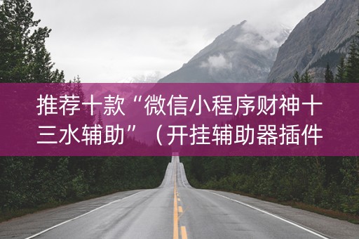 推荐十款“微信小程序财神十三水辅助”（开挂辅助器插件)