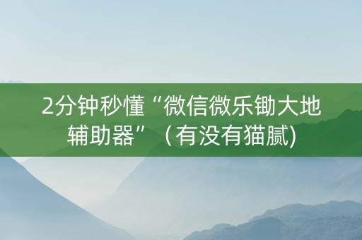 2分钟秒懂“微信微乐锄大地辅助器”（有没有猫腻)